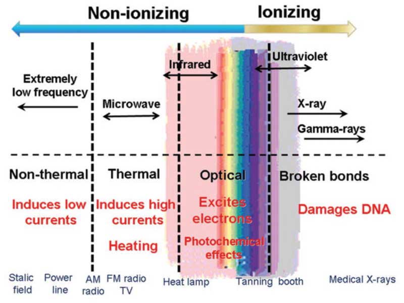 Red vs. Near-Infrared (NIR) vs. Far-Infrared (FIR) Light Therapy: What –  GembaRed