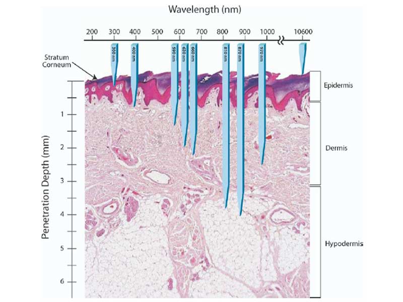 Penetration depth red light therapy